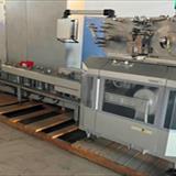 Theegarten Pactec Bunch Wrapper Model EMC-1. year 2007 (1)