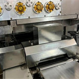 Rheon 2 lanes multi-extruding & encrusting line (7)