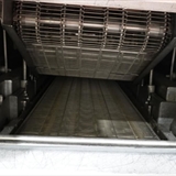 CFS Electrical fryer  (12)