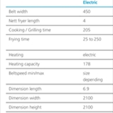CFS Electrical fryer  (14)